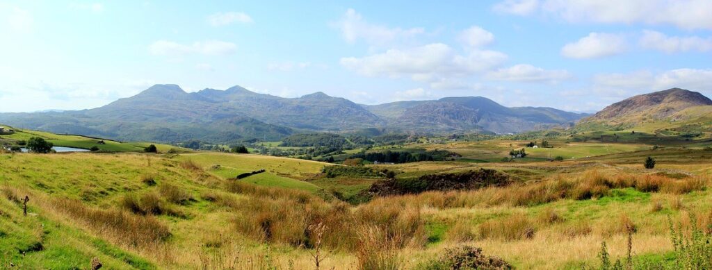 Wellbeing Walks - Out the office into nature. Unleash the power of your team with invigorating and personalised events, with nature at the heart of the design. We take your team out of the office.