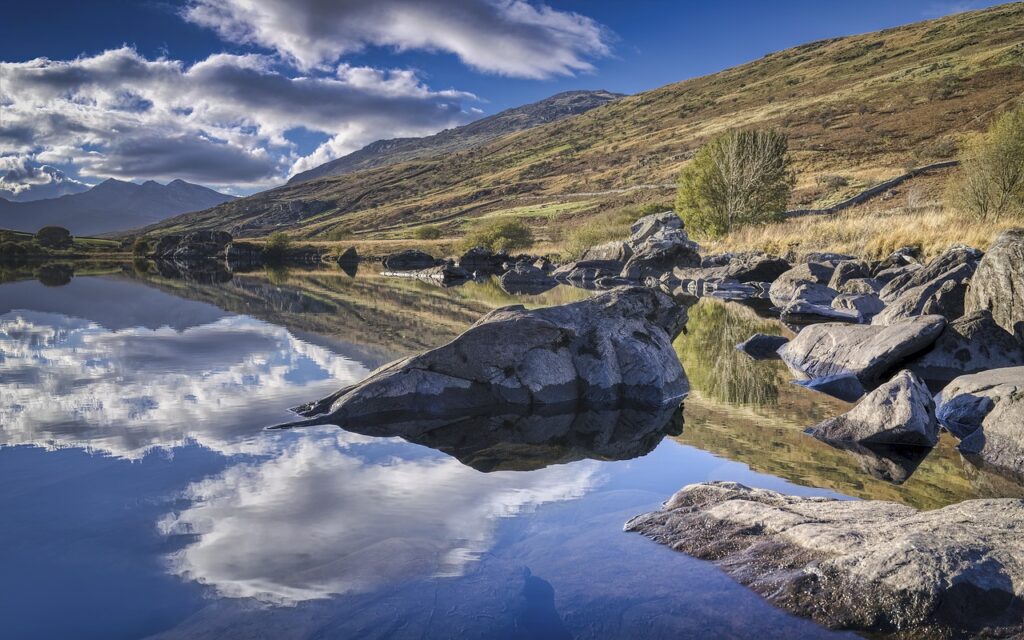 Wellbeing Walks - Out the office into nature. Unleash the power of your team with invigorating and personalised events, with nature at the heart of the design. We take your team out of the office.