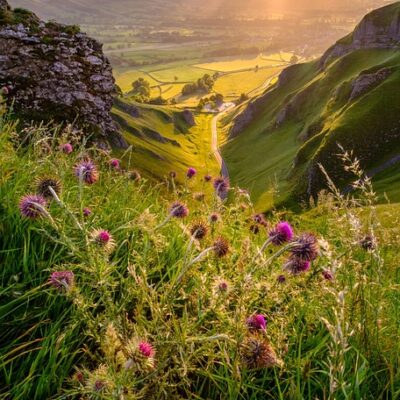 Wellbeing Walks - Out the office into nature. Unleash the power of your team with invigorating and personalised events, with nature at the heart of the design. We take your team out of the office.