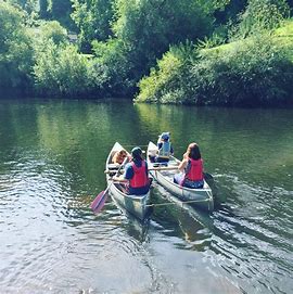 Explore the South Hams from Wellbeing Walks