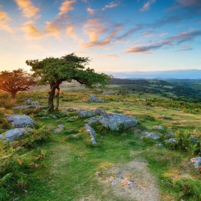 Wellbeing Walks - Out the office into nature. Unleash the power of your team with invigorating and personalised events, with nature at the heart of the design. We take your team out of the office.