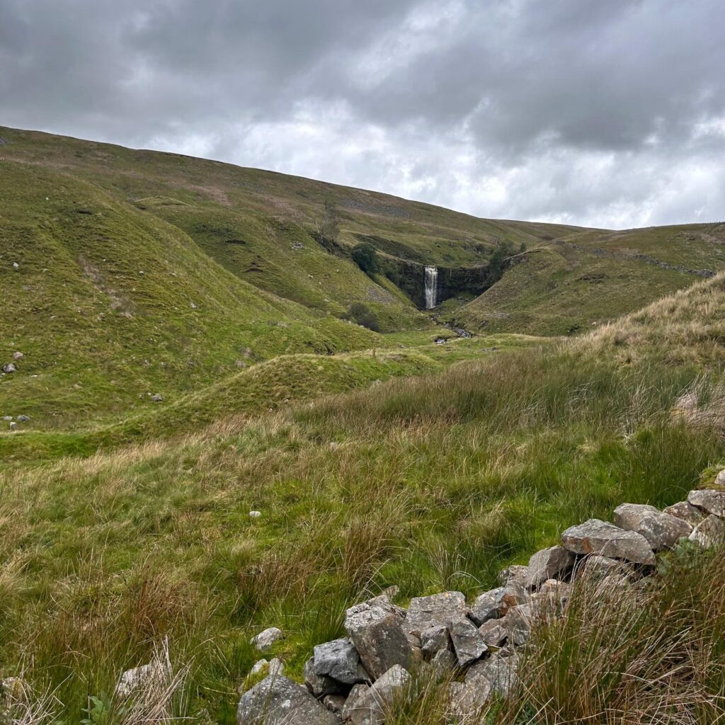 Wellbeing Walks - Out the office into nature. Unleash the power of your team with invigorating and personalised events, with nature at the heart of the design. We take your team out of the office.