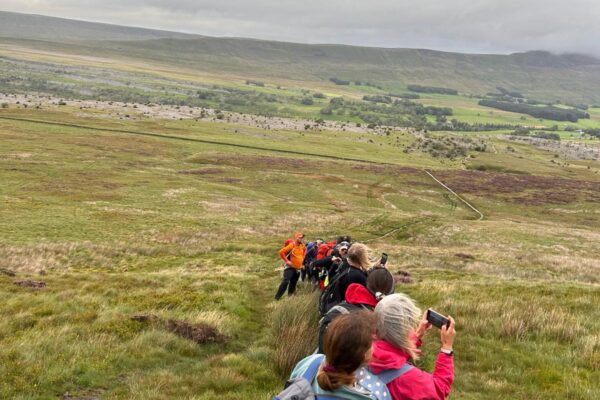 Wellbeing Walks - Out the office into nature. A team out enjoying the benefits of walking in nature.