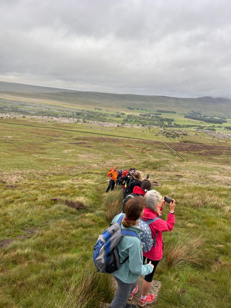 Wellbeing Walks - Out the office into nature. A team out enjoying the benefits of walking in nature.