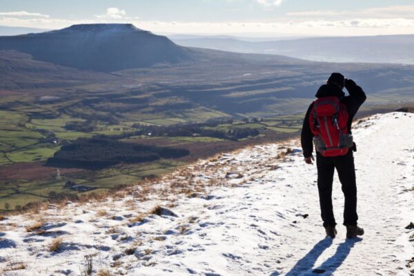 Wellbeing Walks - Out the office into nature. Unleash the power of your team with invigorating and personalised events, with nature at the heart of the design. We take your team out of the office.