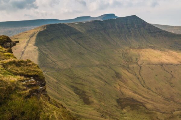 Wellbeing Walks - Out the office into nature. Unleash the power of your team with invigorating and personalised events, with nature at the heart of the design. We take your team out of the office.