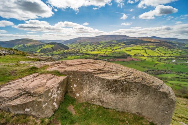 Wellbeing Walks - Out the office into nature. Unleash the power of your team with invigorating and personalised events, with nature at the heart of the design. We take your team out of the office.