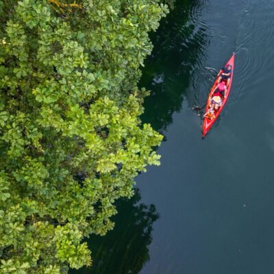 Wellbeing Walks - Out the office into nature. Unleash the power of your team with invigorating and personalised events, with nature at the heart of the design. We take your team out of the office.