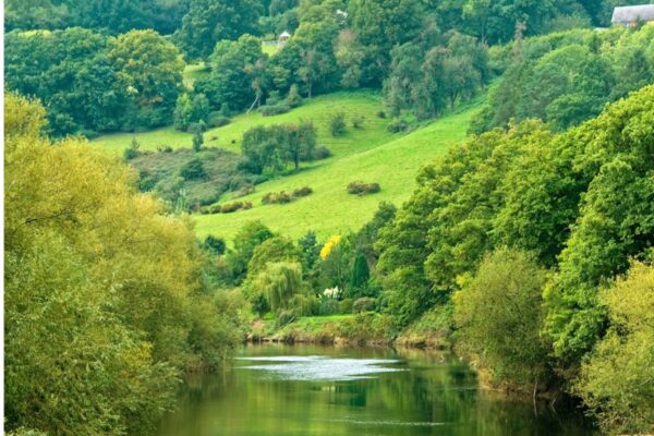 Wellbeing Walks - Out the office into nature. Unleash the power of your team with invigorating and personalised events, with nature at the heart of the design. We take your team out of the office.