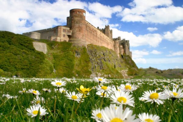 Wellbeing Walks - Out the office into nature. Unleash the power of your team with invigorating and personalised events, with nature at the heart of the design. We take your team out of the office.