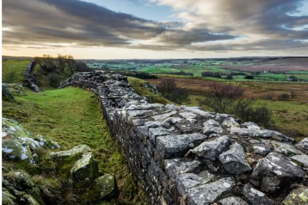 Wellbeing Walks - Out the office into nature. Unleash the power of your team with invigorating and personalised events, with nature at the heart of the design. We take your team out of the office.