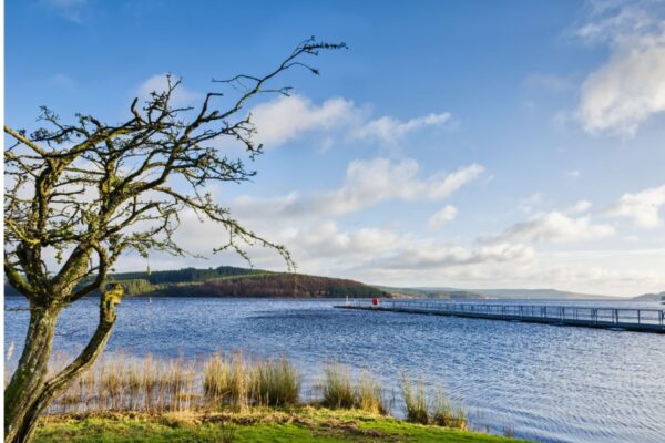 Wellbeing Walks - Out the office into nature. Unleash the power of your team with invigorating and personalised events, with nature at the heart of the design. We take your team out of the office.