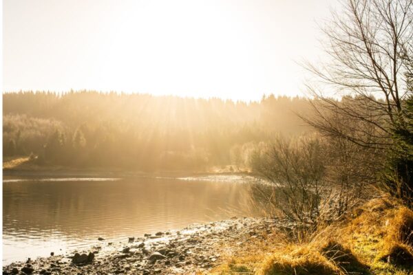 Wellbeing Walks - Out the office into nature. Unleash the power of your team with invigorating and personalised events, with nature at the heart of the design. We take your team out of the office.