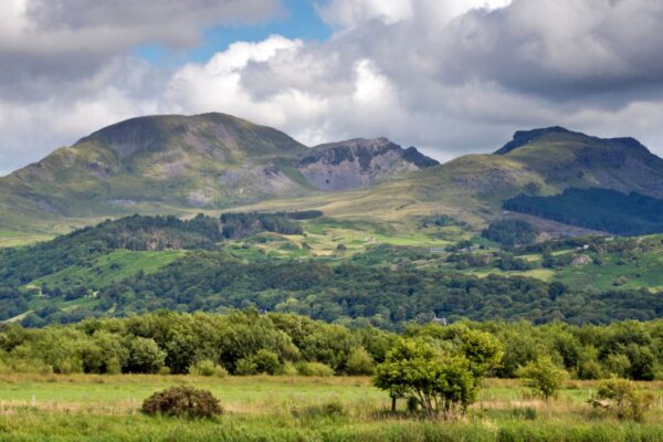 Wellbeing Walks - Out the office into nature. Unleash the power of your team with invigorating and personalised events, with nature at the heart of the design. We take your team out of the office.