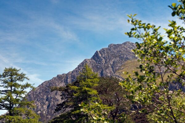 Wellbeing Walks - Out the office into nature. Unleash the power of your team with invigorating and personalised events, with nature at the heart of the design. We take your team out of the office.