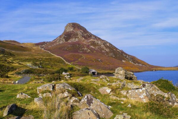 Wellbeing Walks - Out the office into nature. Unleash the power of your team with invigorating and personalised events, with nature at the heart of the design. We take your team out of the office.