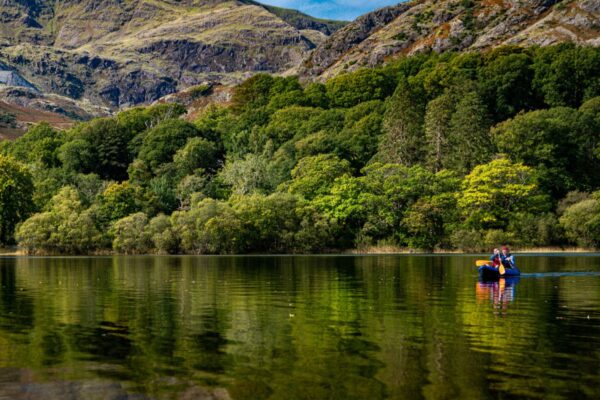 Wellbeing Walks - Out the office into nature. Unleash the power of your team with invigorating and personalised events, with nature at the heart of the design. We take your team out of the office.