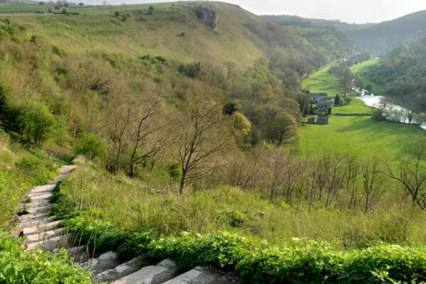 The Peak District. Wellbeing Walks - Out the office into nature. Unleash the power of your team with invigorating and personalised events, with nature at the heart of the design. We take your team out of the office.