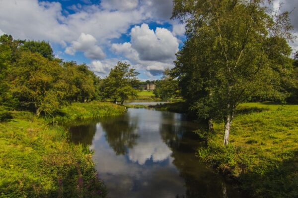 Wellbeing Walks - Out the office into nature. Unleash the power of your team with invigorating and personalised events, with nature at the heart of the design. We take your team out of the office.