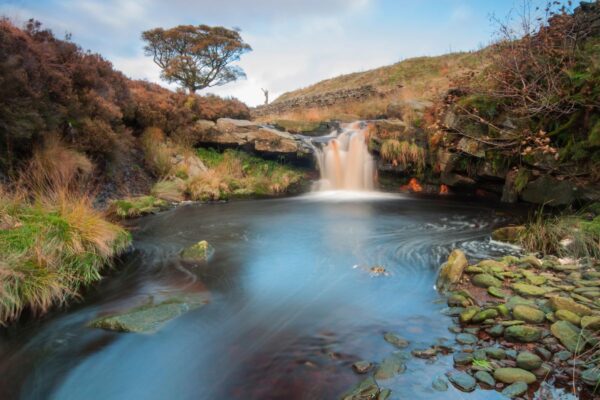 Wellbeing Walks - Out the office into nature. Unleash the power of your team with invigorating and personalised events, with nature at the heart of the design. We take your team out of the office.