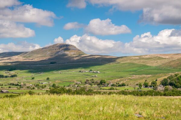 Wellbeing Walks - Out the office into nature. Unleash the power of your team with invigorating and personalised events, with nature at the heart of the design. We take your team out of the office.