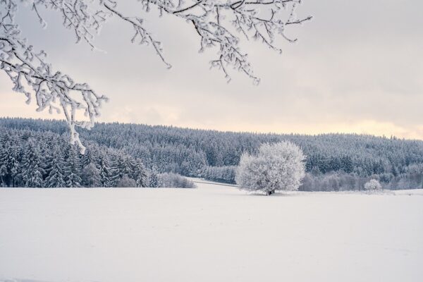 Benefits of walking in winter - Corporate wellbeing events