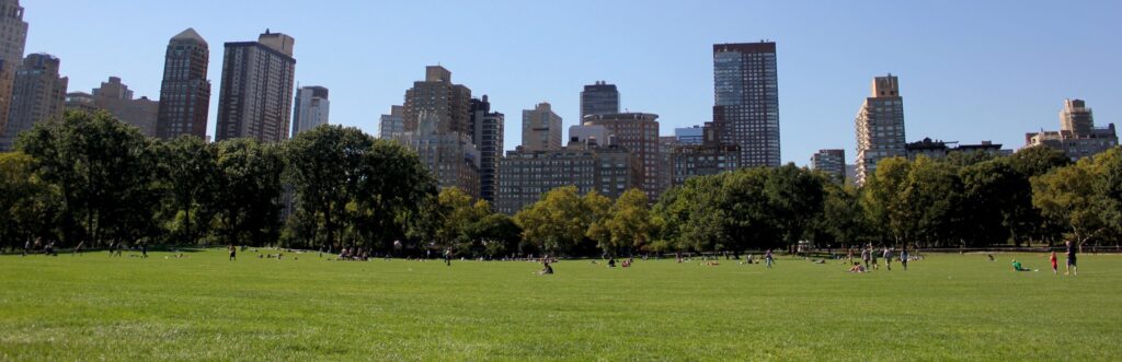This is a picture of some buildings and a big open park space