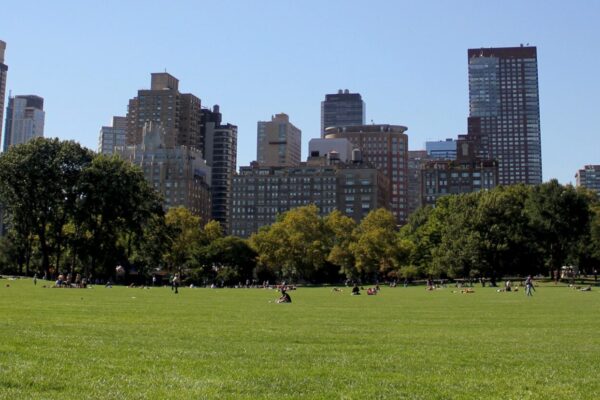 This is a picture of some buildings and a big open park space