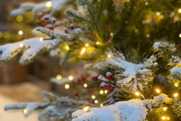 Works Christmas party ideas picture with a Christmas tree with snow on