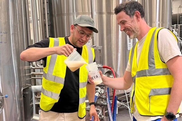 tasting beer with the head brewer at DEYA