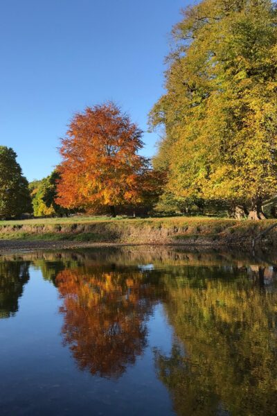 lake district in autumn. wellbeing events