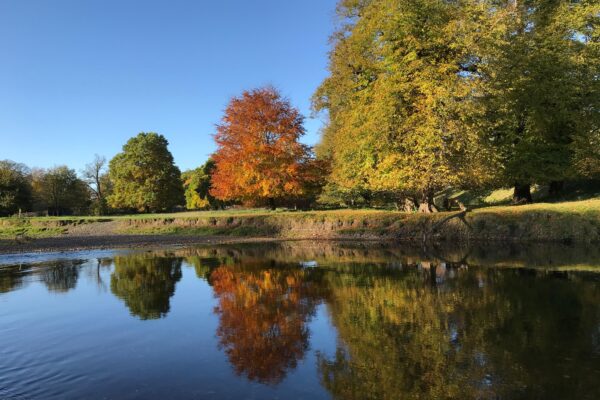lake district in autumn. wellbeing events
