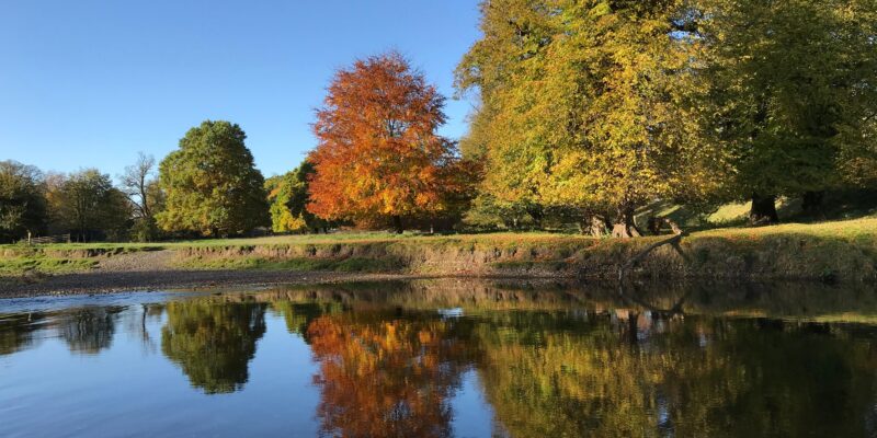 lake district in autumn. wellbeing events